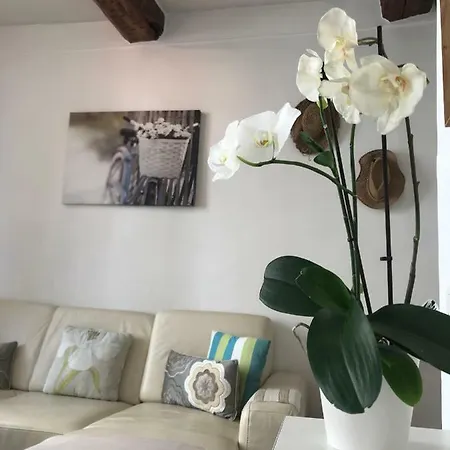 Apartment Carousel *