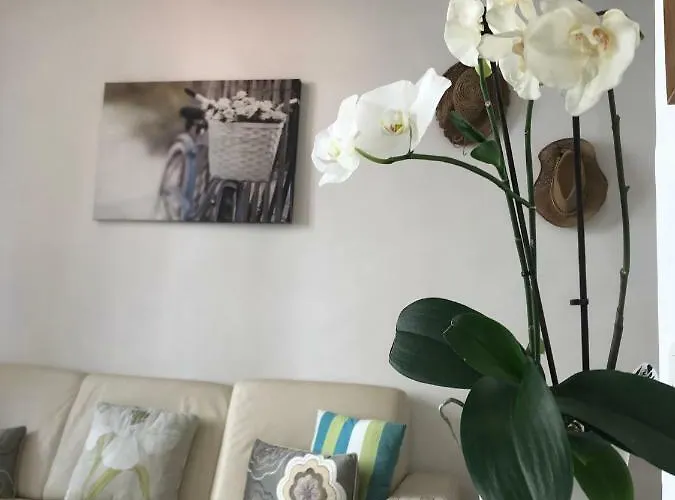 公寓 卡洛塞尔公寓 *