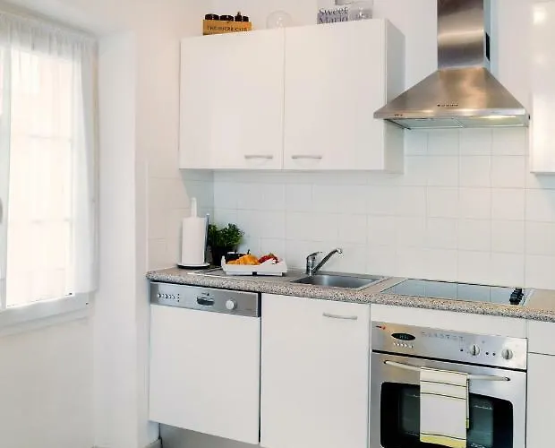 公寓 卡洛塞尔公寓 *